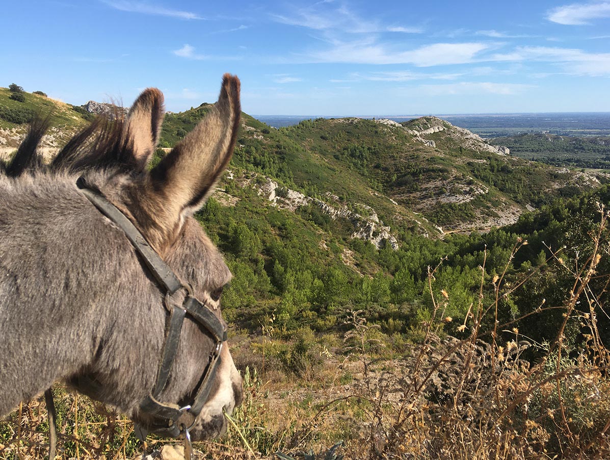 Sortie Week-end au coeur de la nature